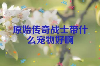 原始传奇战士带什么宠物好啊