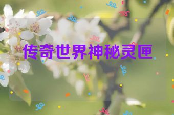传奇世界神秘灵匣