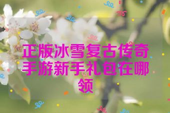 正版冰雪复古传奇手游新手礼包在哪领