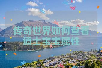 传奇世界如何查看道士宝宝属性
