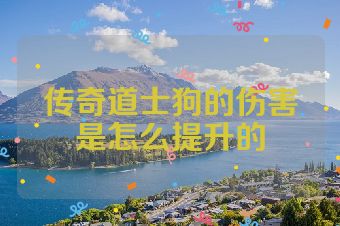 传奇道士狗的伤害是怎么提升的