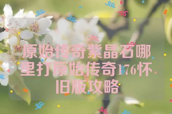 原始传奇紫晶石哪里打原始传奇176怀旧版攻略