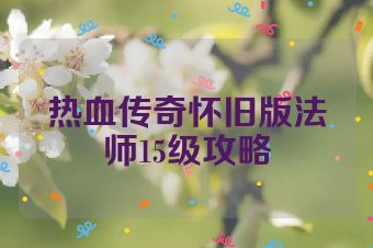 热血传奇怀旧版法师15级攻略
