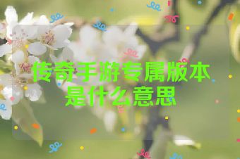 传奇手游专属版本是什么意思
