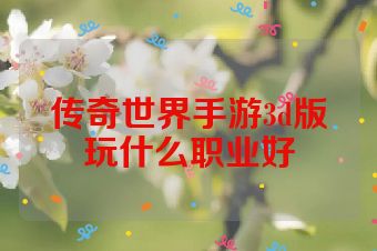 传奇世界手游3d版玩什么职业好