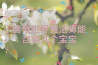 传奇世界里法师能召唤几个宝宝