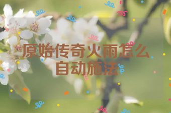 原始传奇火雨怎么自动施法