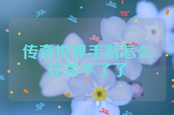 传奇世界手游怎么安装不了了