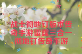 战士彻地钉版本传奇手游雷霆三合一彻地钉传奇手游
