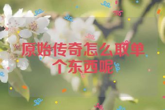 原始传奇怎么取单个东西呢