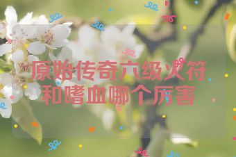 原始传奇六级火符和嗜血哪个厉害