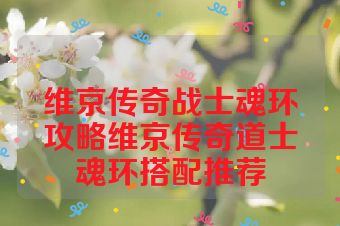 维京传奇战士魂环攻略维京传奇道士魂环搭配推荐