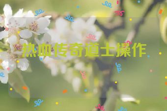 热血传奇道士操作
