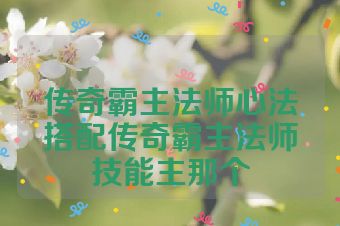 传奇霸主法师心法搭配传奇霸主法师技能主那个