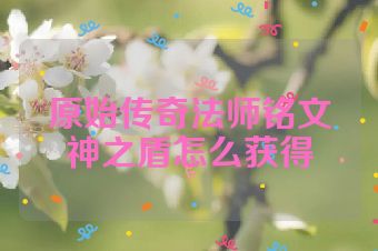 原始传奇法师铭文神之盾怎么获得