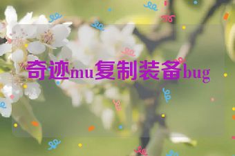 奇迹mu复制装备bug