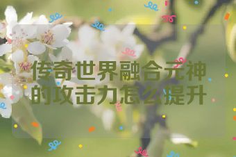 传奇世界融合元神的攻击力怎么提升