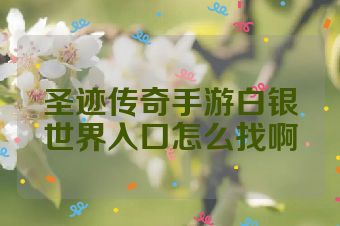 圣迹传奇手游白银世界入口怎么找啊