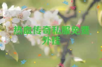 热血传奇私服免费外挂
