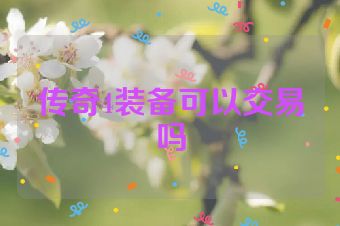 传奇4装备可以交易吗