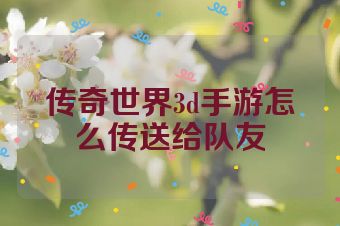 传奇世界3d手游怎么传送给队友