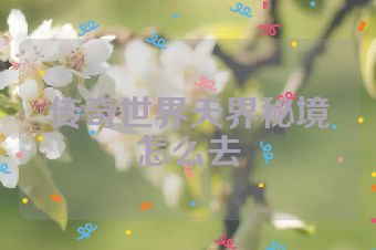 传奇世界天界秘境怎么去