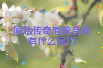 原始传奇盾牌合成有什么窍门