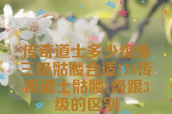 传奇道士多少级练三级骷髅合适176传奇道士骷髅1级跟3级的区别