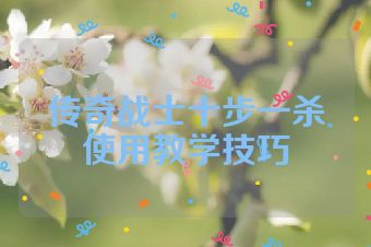 传奇战士十步一杀使用教学技巧
