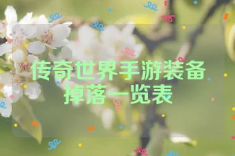 传奇世界手游装备掉落一览表