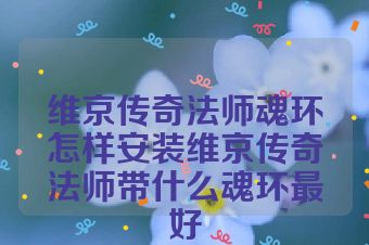 维京传奇法师魂环怎样安装维京传奇法师带什么魂环最好