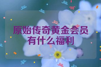 原始传奇黄金会员有什么福利