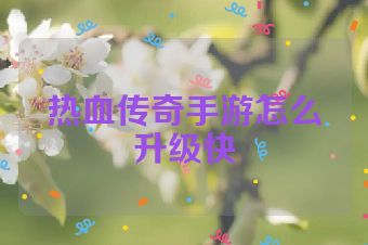 热血传奇手游怎么升级快