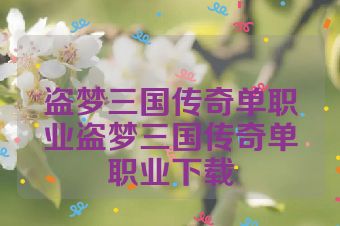 盗梦三国传奇单职业盗梦三国传奇单职业下载