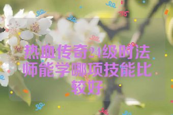 热血传奇24级时法师能学哪项技能比较好