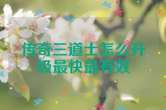 传奇三道士怎么升级最快最有效