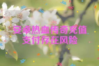 安卓热血传奇充值支付存在风险
