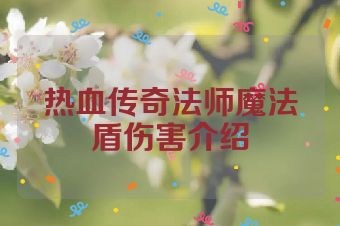 热血传奇法师魔法盾伤害介绍