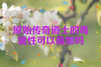 原始传奇道士的毒属性可以叠加吗