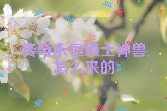 传奇永恒道士神兽怎么来的