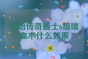 原始传奇道士6级嗜血术什么效果