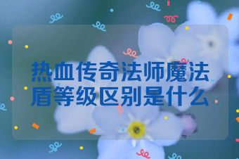 热血传奇法师魔法盾等级区别是什么