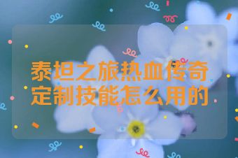 泰坦之旅热血传奇定制技能怎么用的
