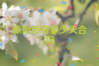 原始传奇多少天合区