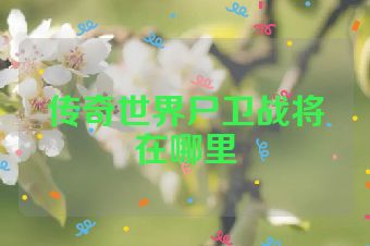传奇世界尸卫战将在哪里