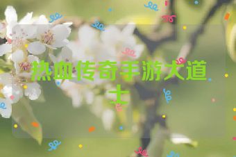热血传奇手游大道士