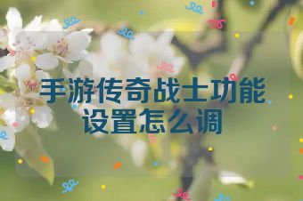 手游传奇战士功能设置怎么调