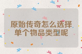 原始传奇怎么选择单个物品类型呢