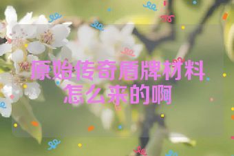 原始传奇盾牌材料怎么来的啊