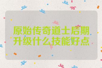 原始传奇道士后期升级什么技能好点